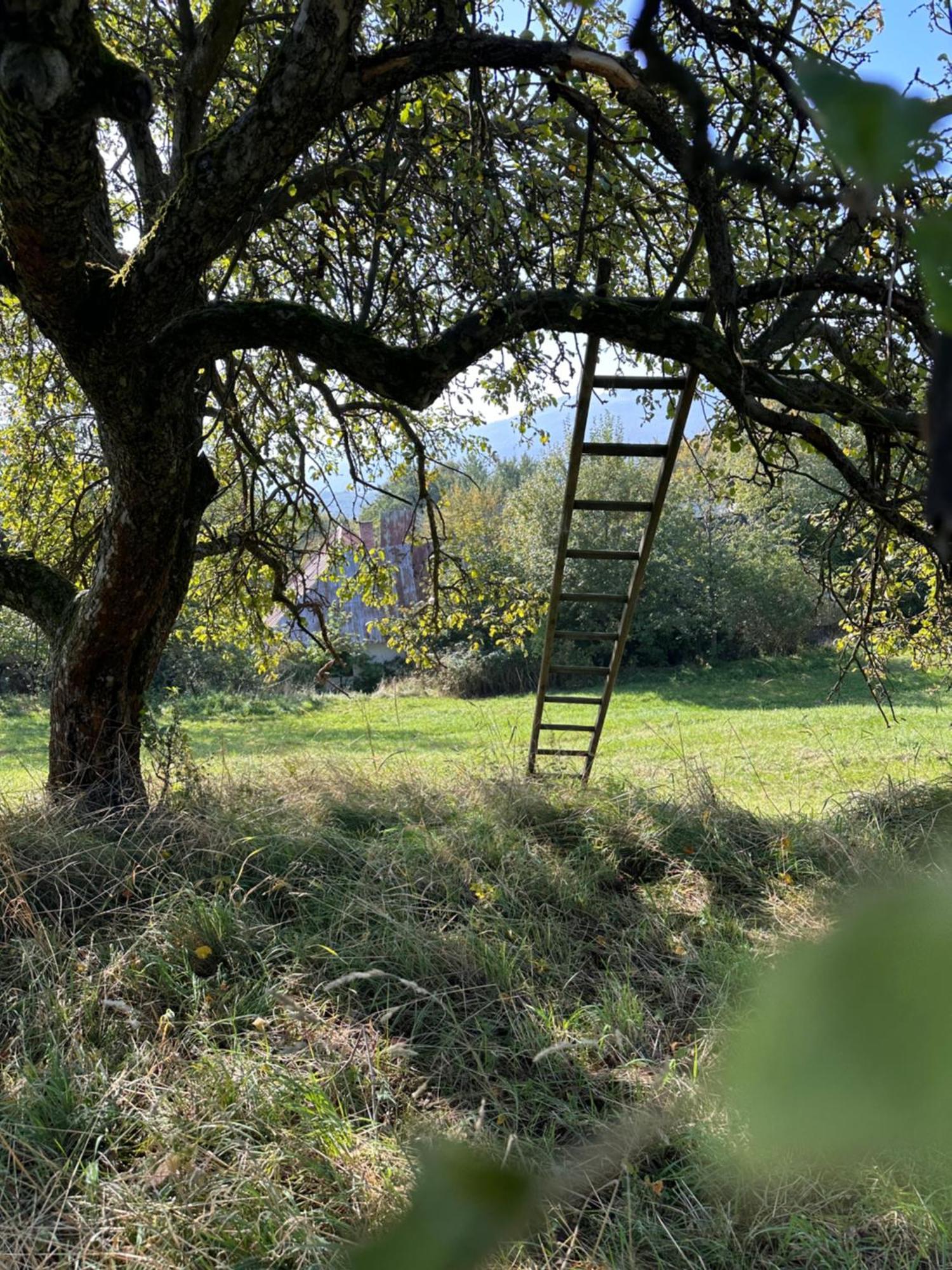 Nadherne Misto Pro Vas Relax V Prirode Uherské Hradiště Exterior foto
